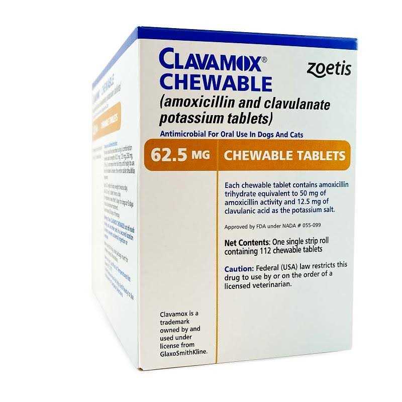 Chewable Pet Supplies Y1749