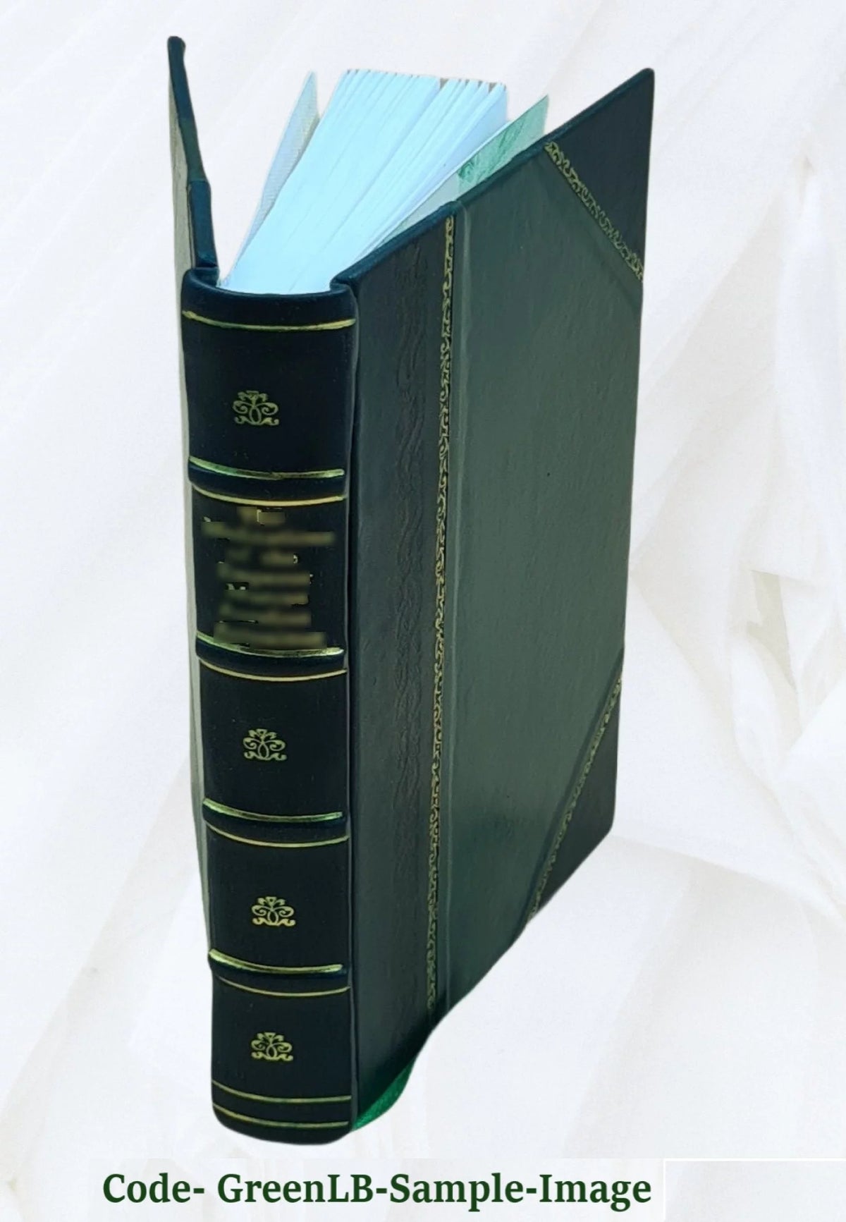 Leather Bound Y24757
