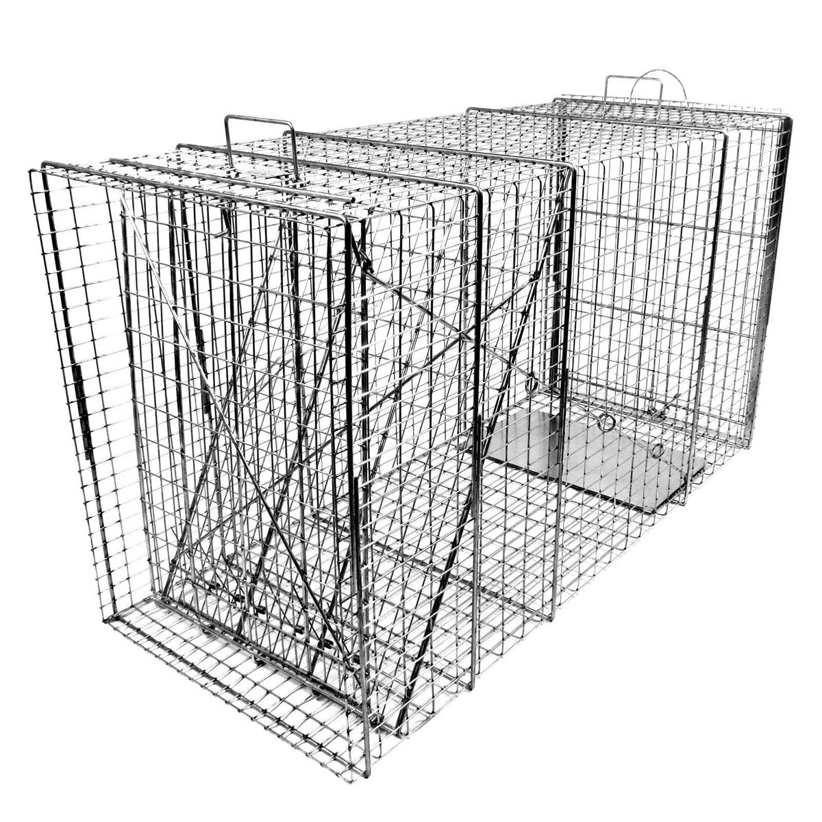 Rigid Trap with Easy Release Door P44425