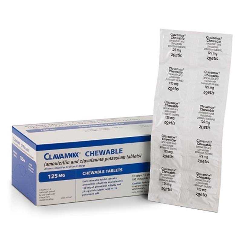 Chewable Pet Supplies Y1749