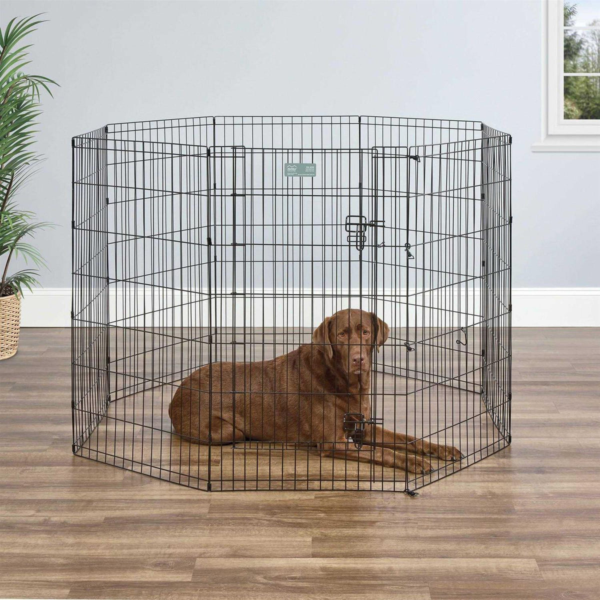 Black Exercise Pen with Door V783