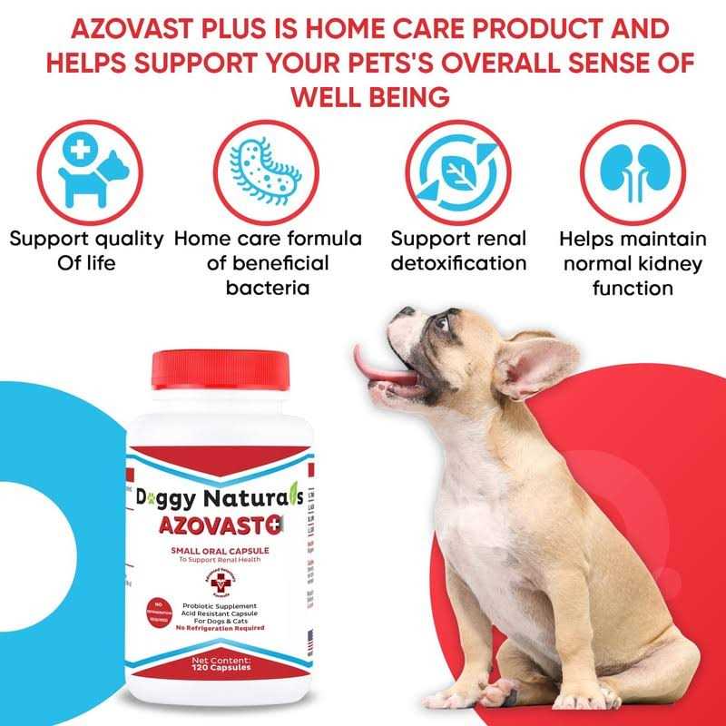 Kidney Health Supplement for Dogs & Cats S52236