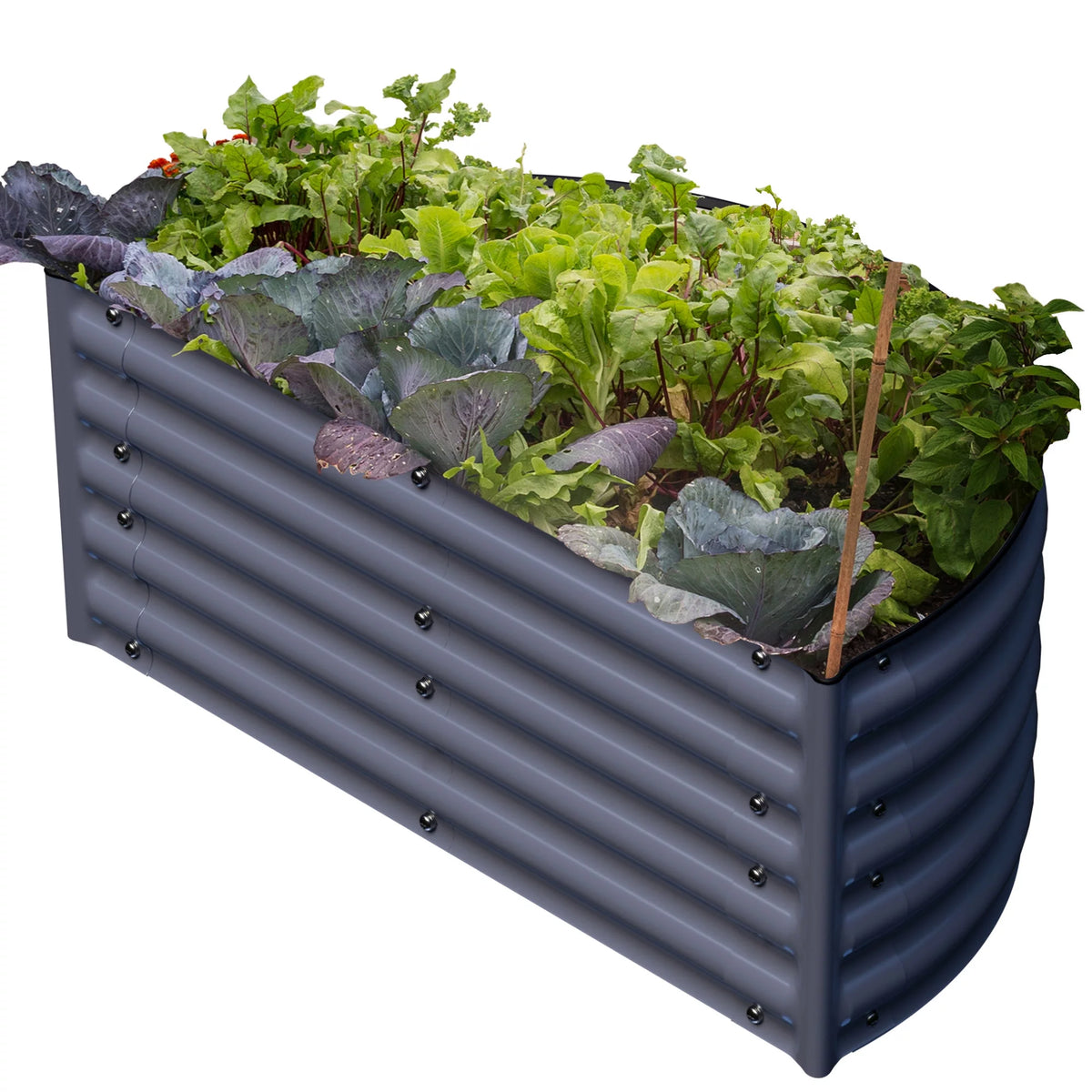 17" Tall Semi-round Raised Garden Bed in Midnight Gray R193