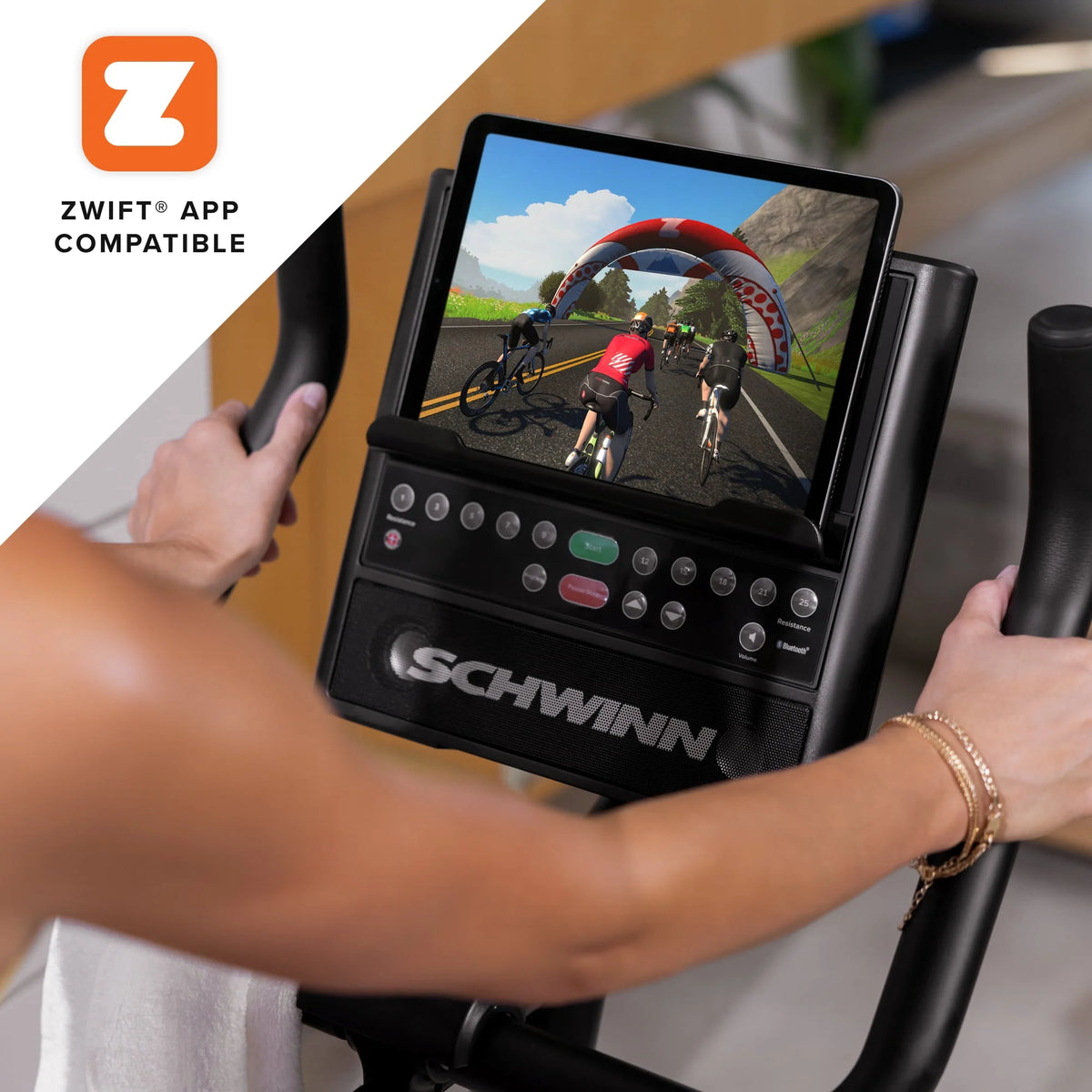 Upright Bike T196