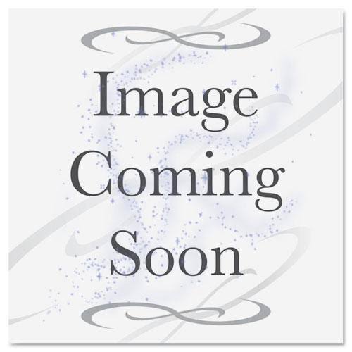 24 oz Black Pet Container Bases I727