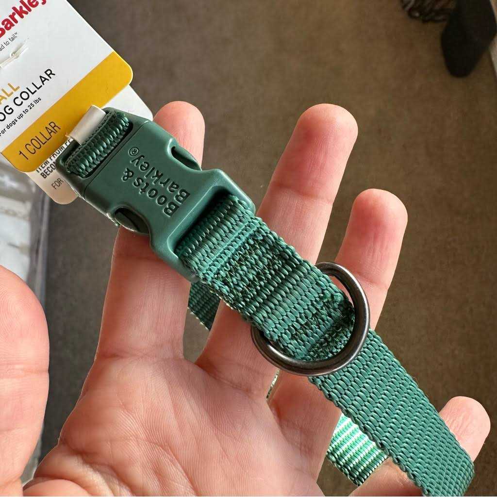 Basic Dog Collar O609085