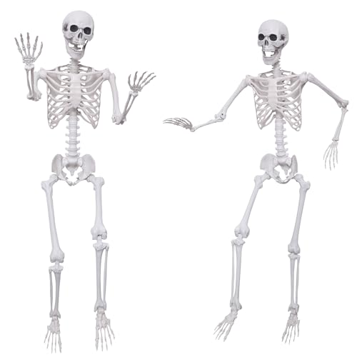 5.4Ft Posable Plastic Skeletons 2Pack L510
