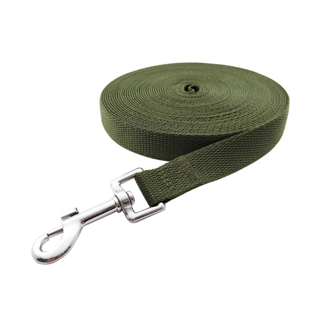 Nylon Dog Leash L462830