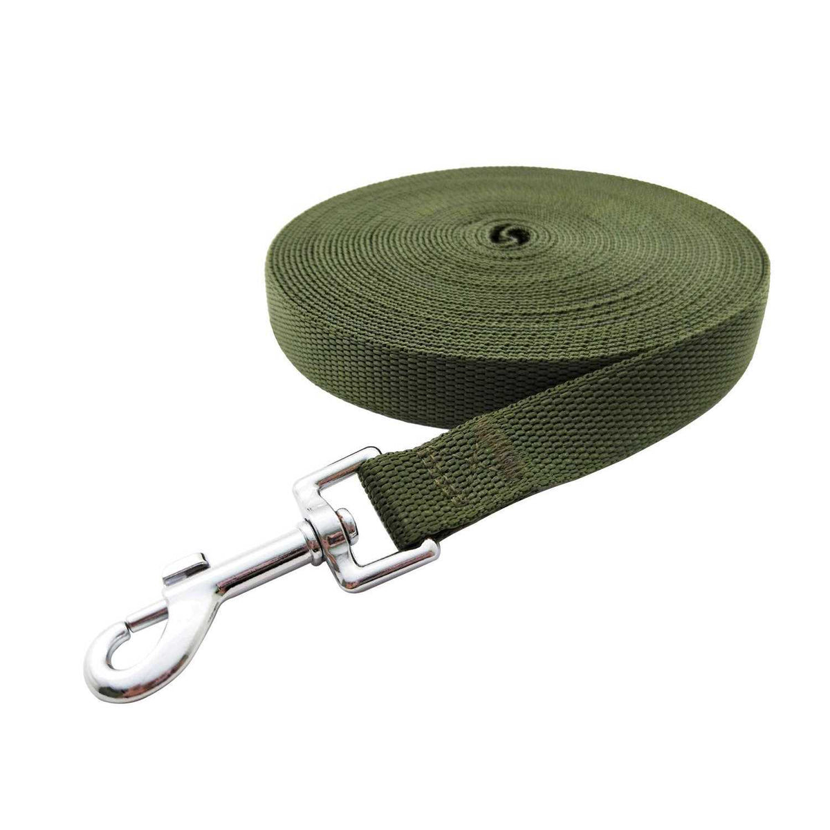 Nylon Dog Leash L462830