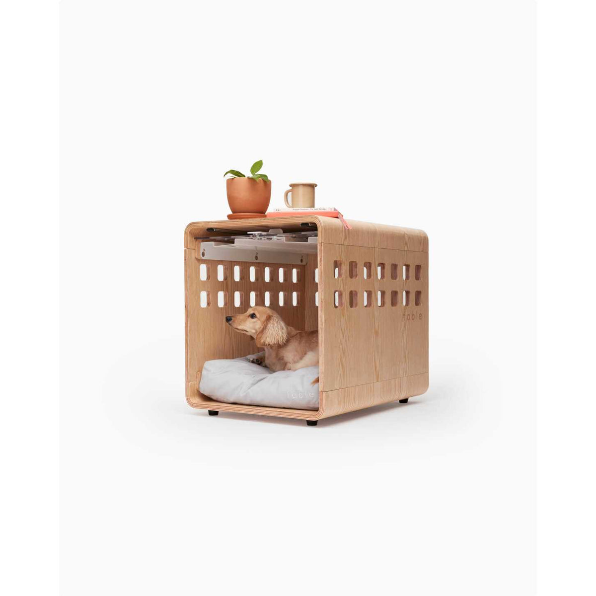 Pet Crate Gate B6556