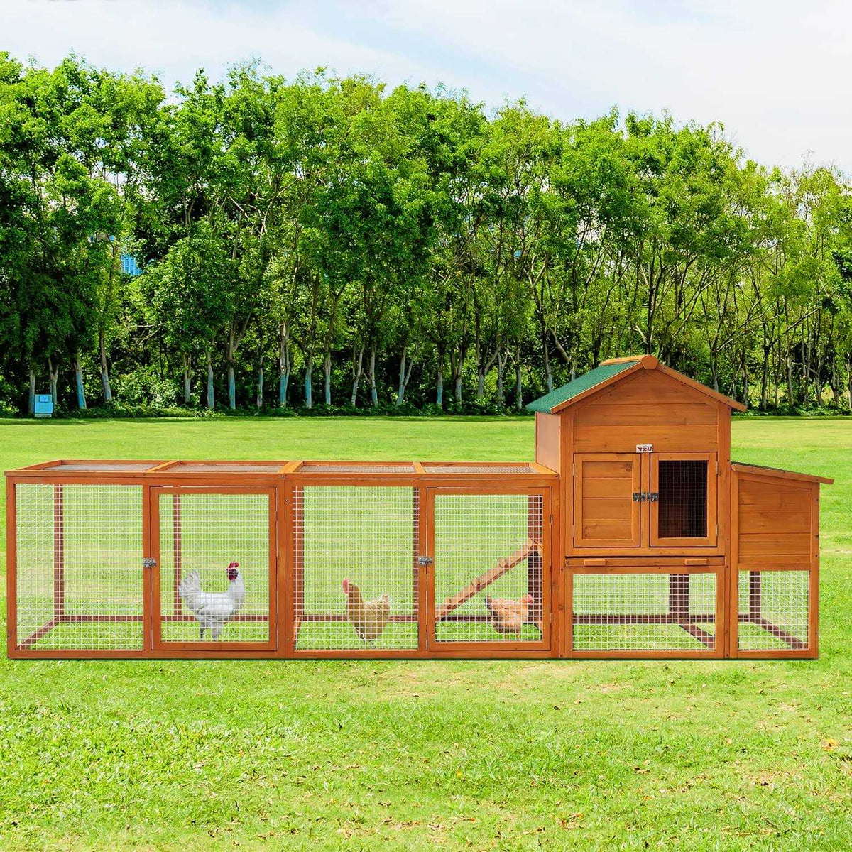 Chicken Coop with Nest Box and Removable Tray T239155