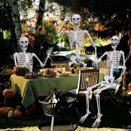 5.4Ft Posable Plastic Skeletons 2Pack L510