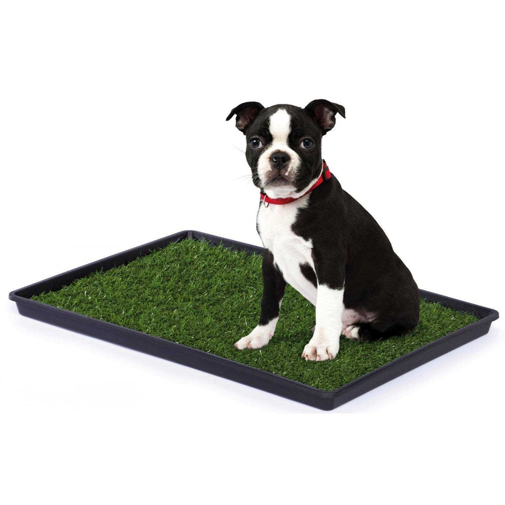Pet Supplies H53423