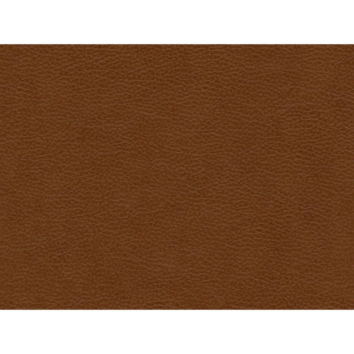 3PC Set in Fiero Tan P74172