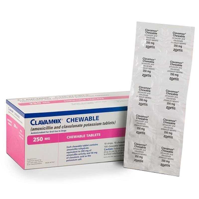 Chewable Pet Supplies Y1749