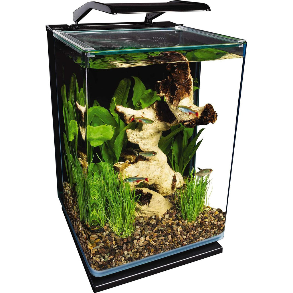 Pet Supplies I2024