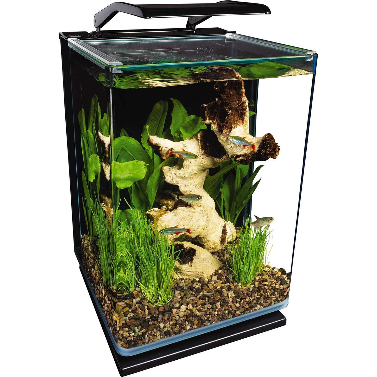 Pet Supplies I2024