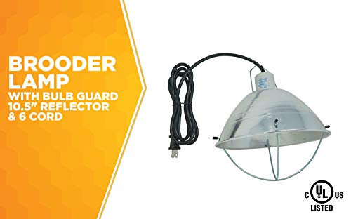 10.5 Inch Reflector Brooder Lamp with Bulb Guard and 6 Foot Cord I783181