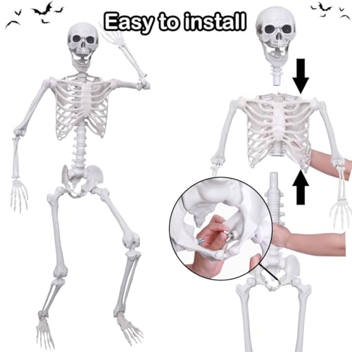 5.4Ft Posable Plastic Skeletons 2Pack L510