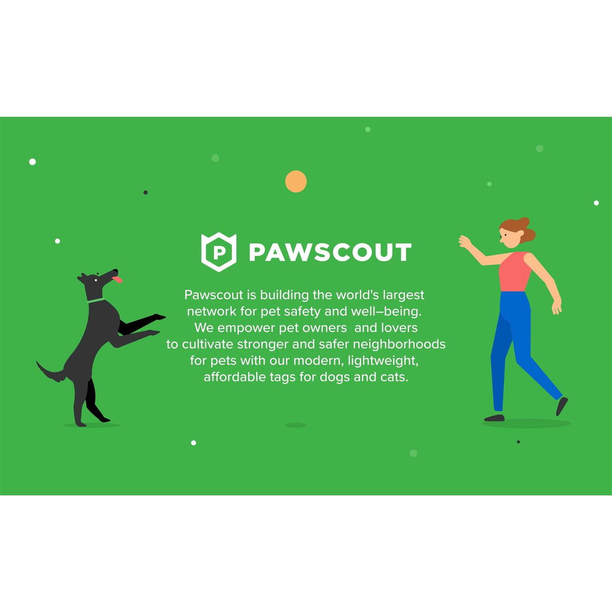 Smart Pet Tag H785
