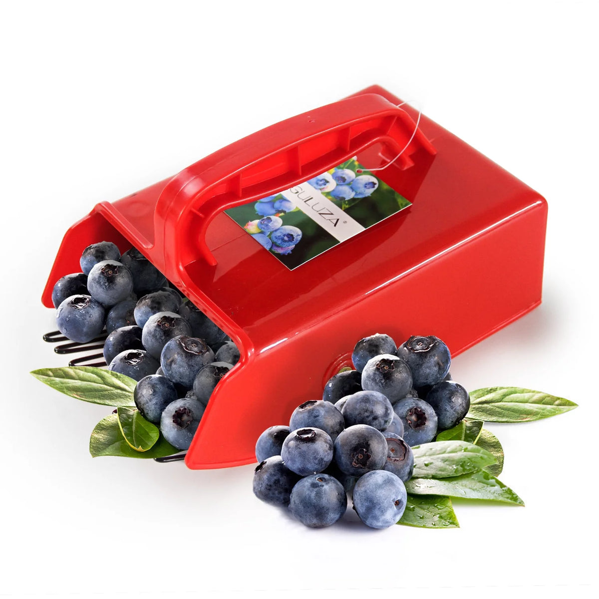 Plastic Berry Picker with Metallic Comb 24 x 14 cm P326