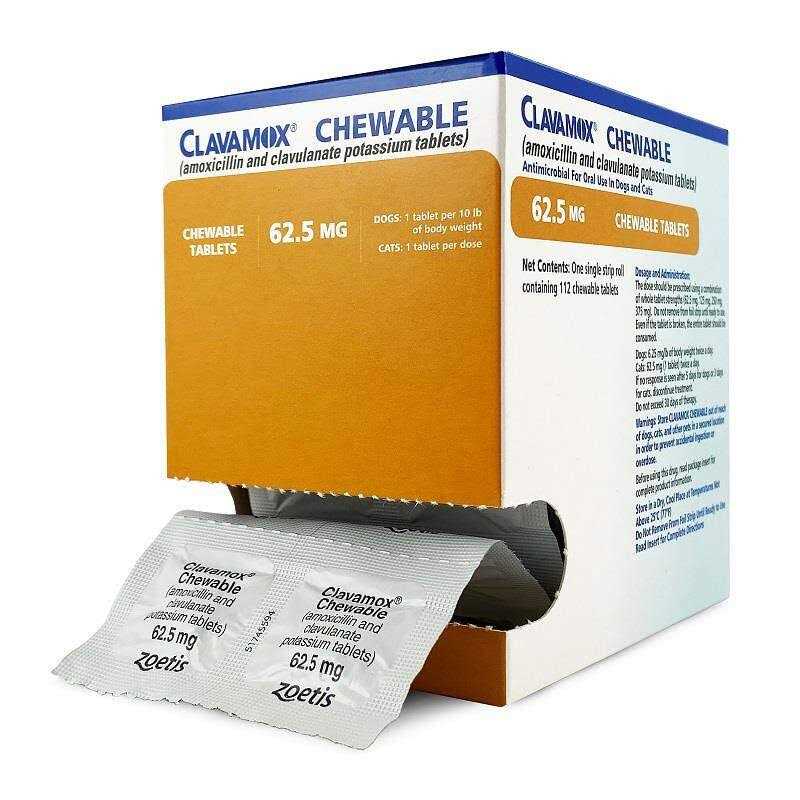 Chewable Pet Supplies Y1749