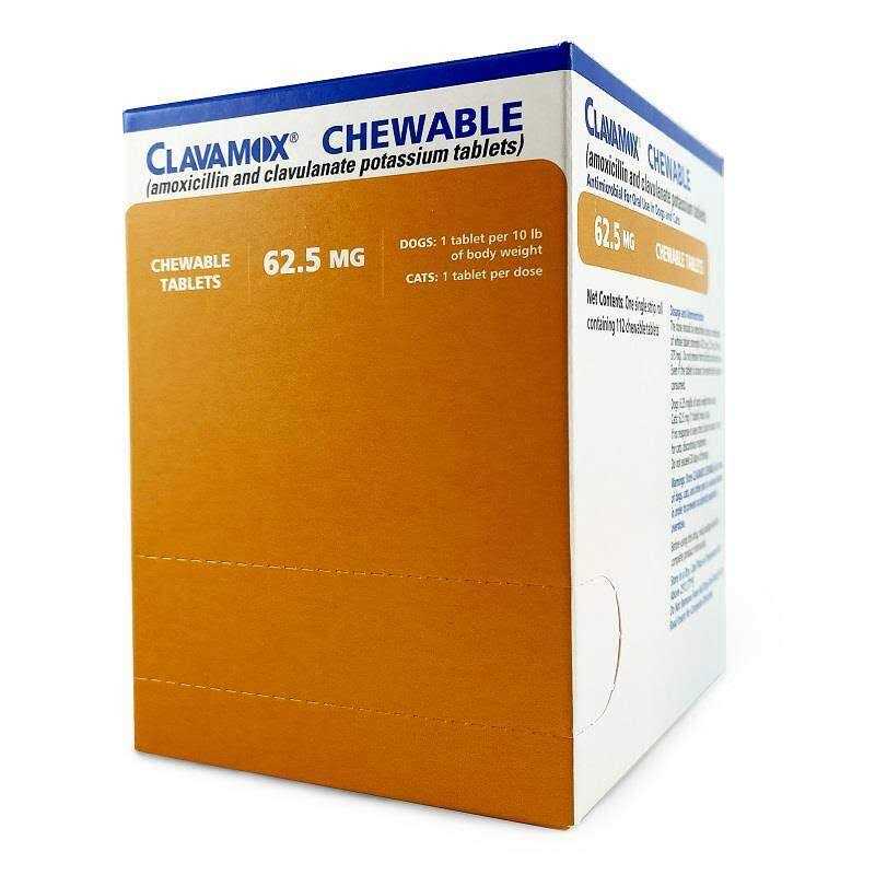 Chewable Pet Supplies Y1749