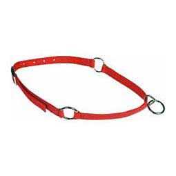 Pet Neck Collar E6467