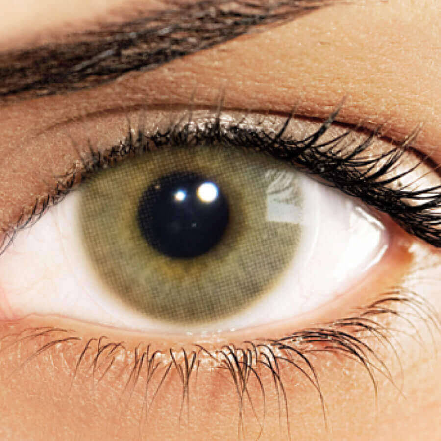 Hazel Yearly Colored Contact Lenses Y598