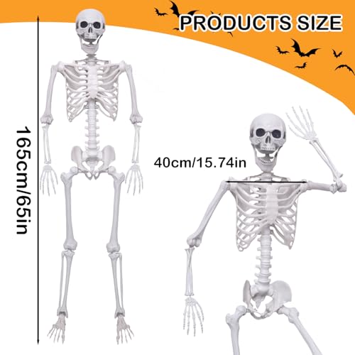 5.4Ft Posable Plastic Skeletons 2Pack L510