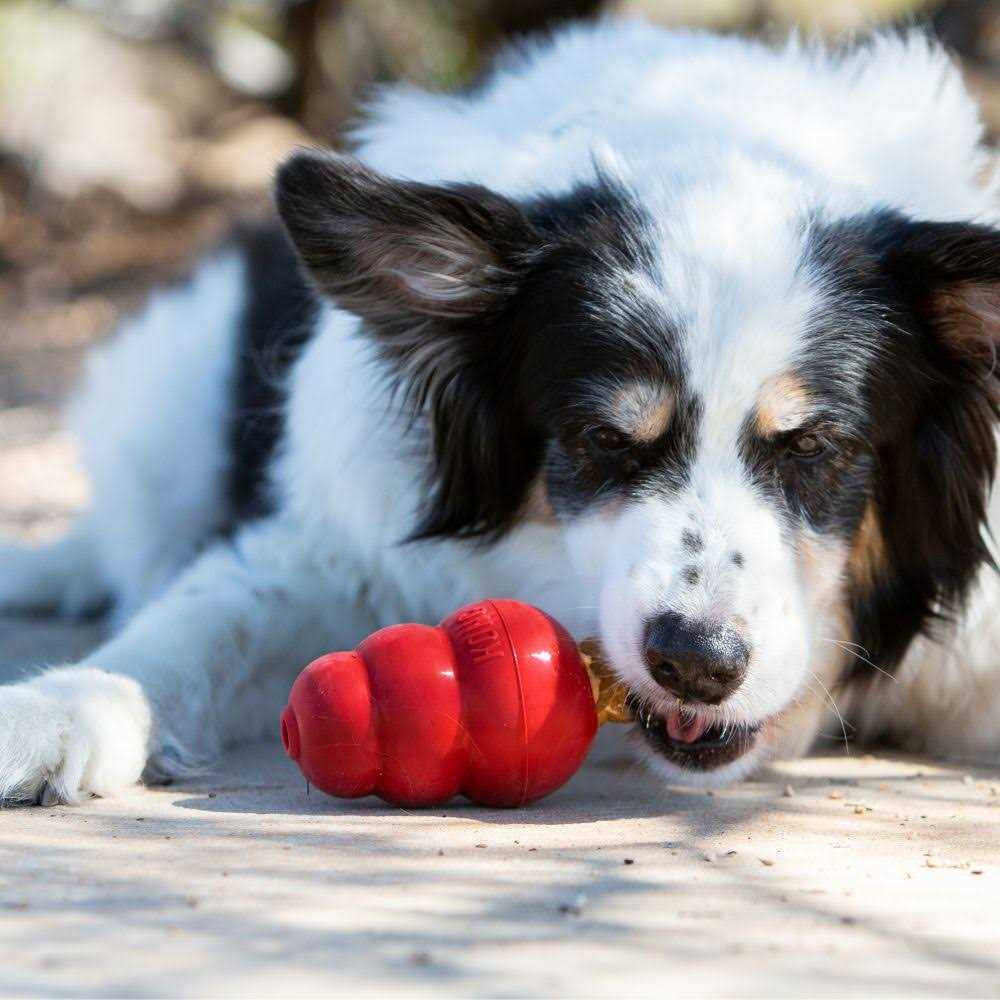 Pet Supplies C705