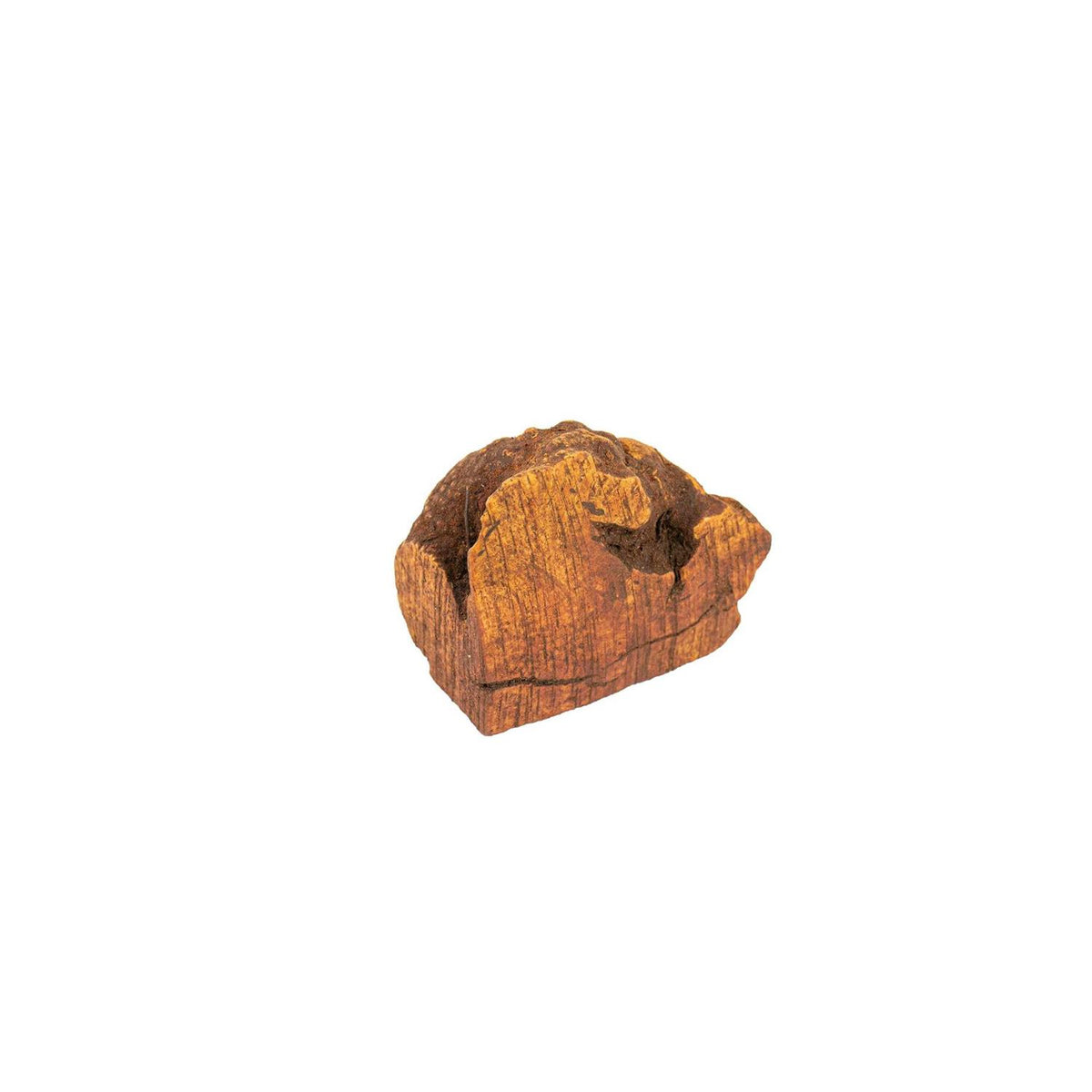 Chew Root for Dogs Q607383