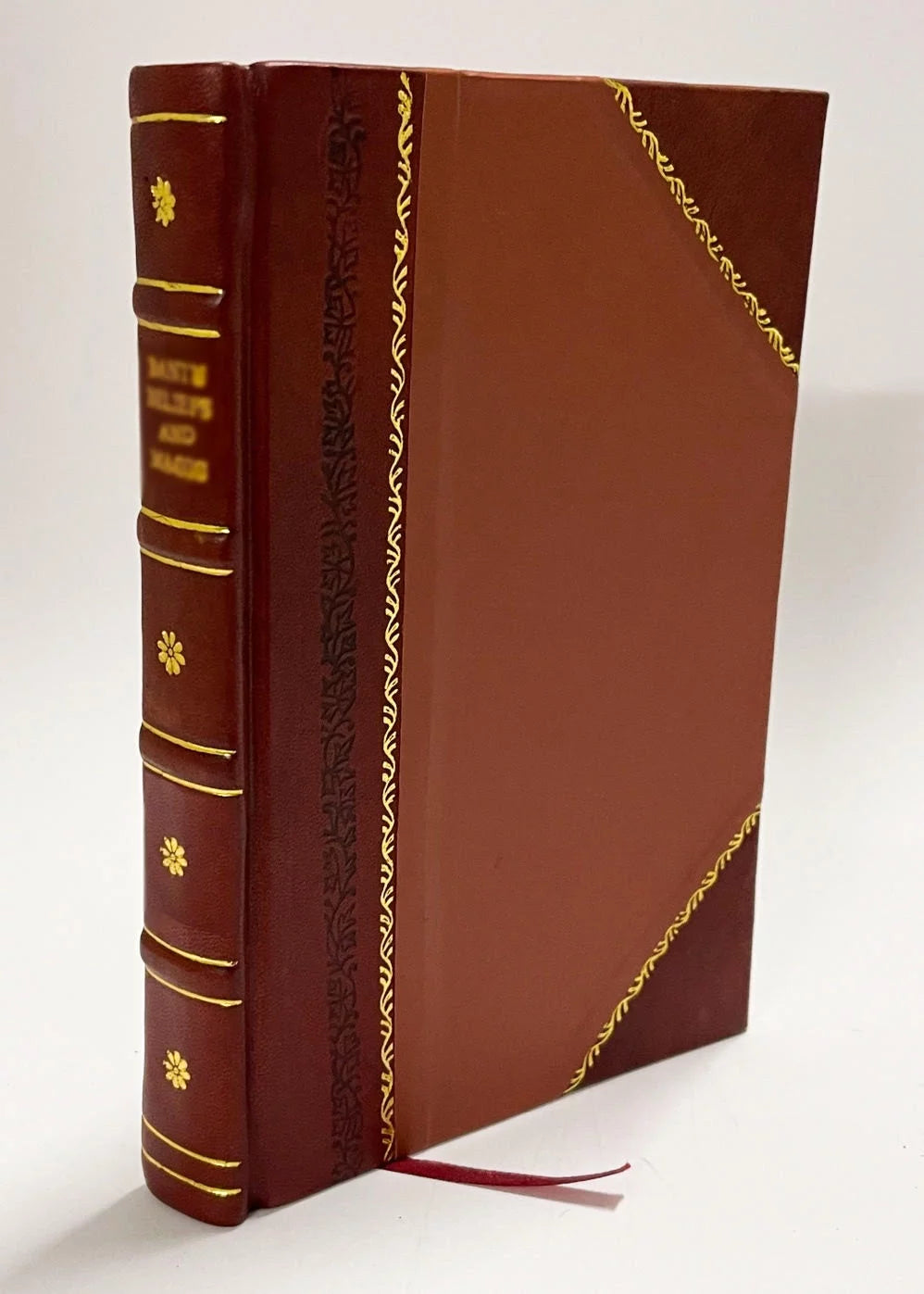 Leather Bound E313