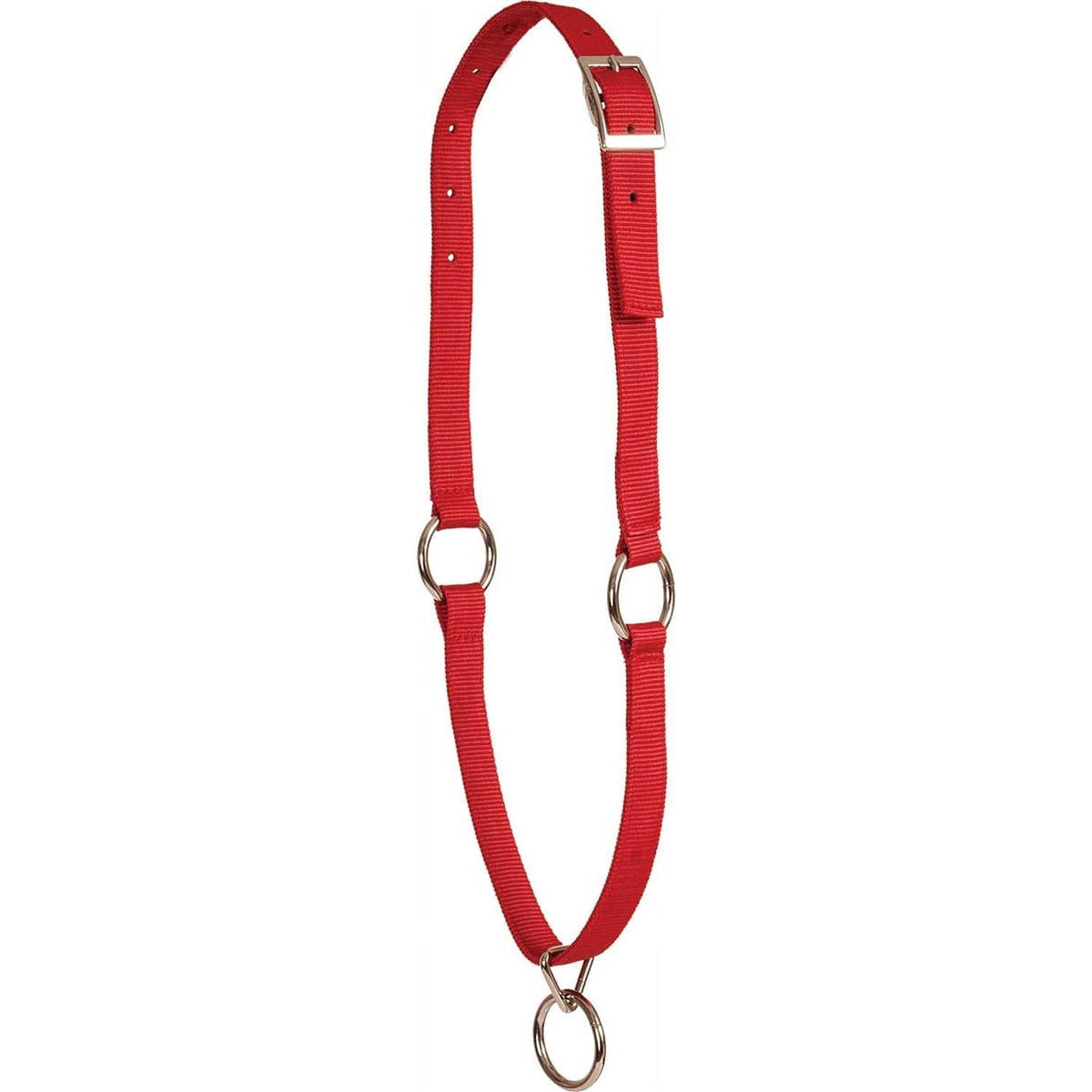 Pet Neck Collar E6467