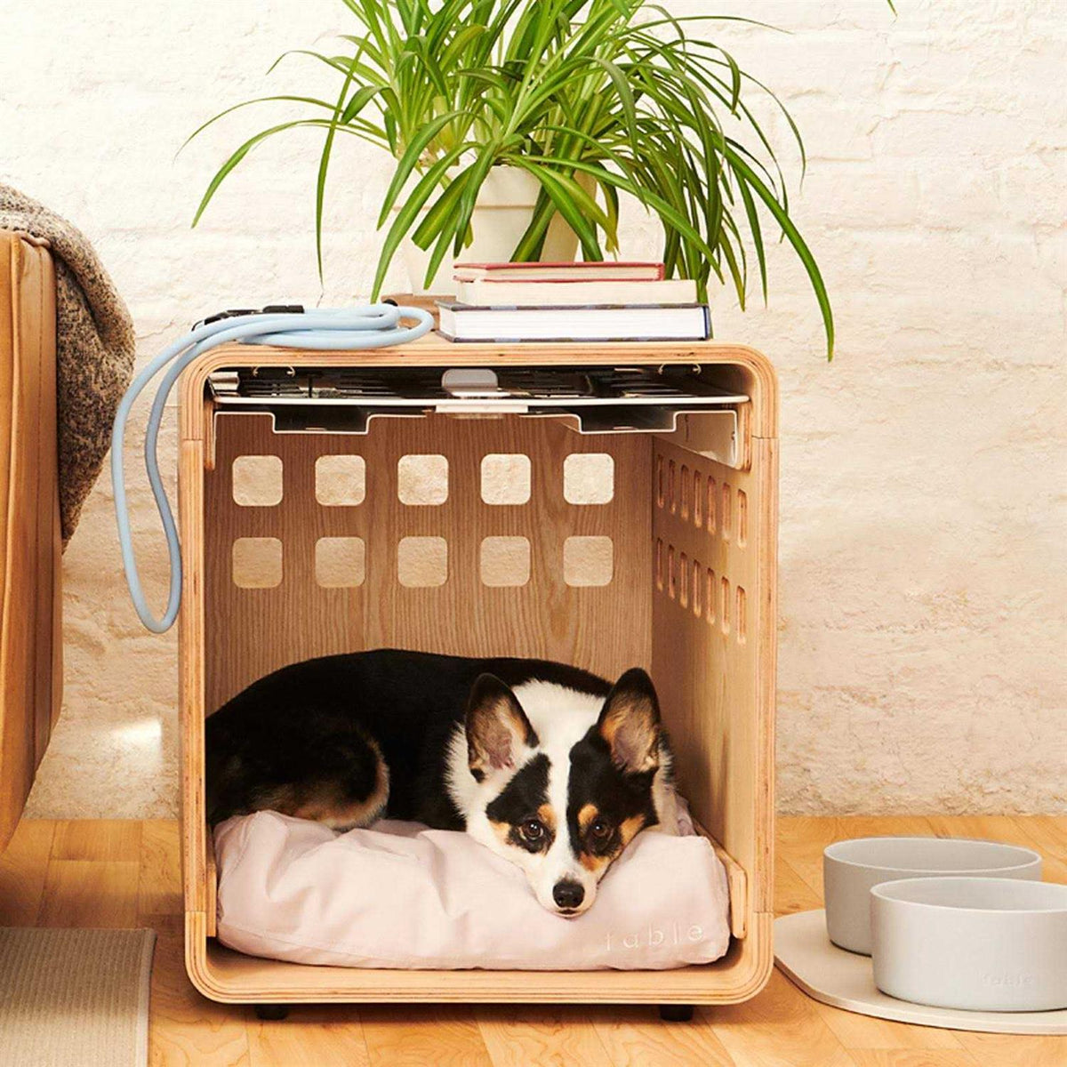 Pet Crate Gate B6556