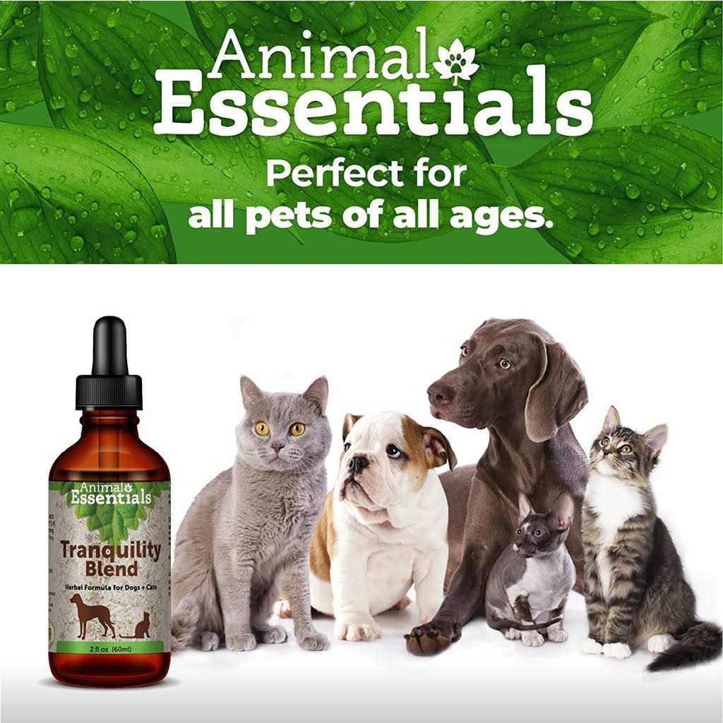 Tranquility Blend Pet Supplies G99361