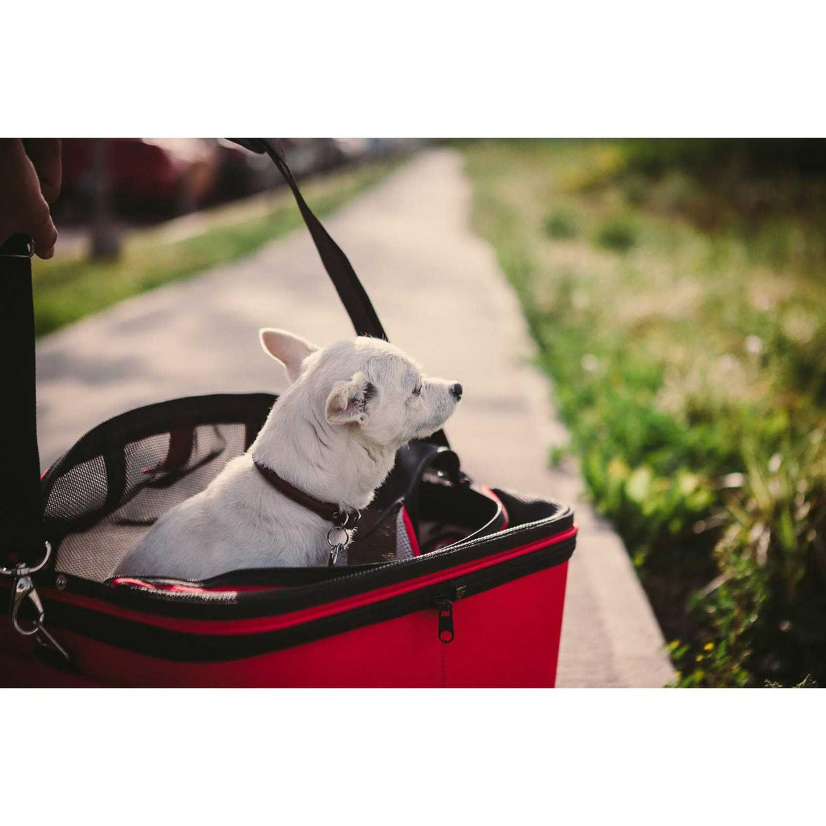 Cozy Pet Carrier A232