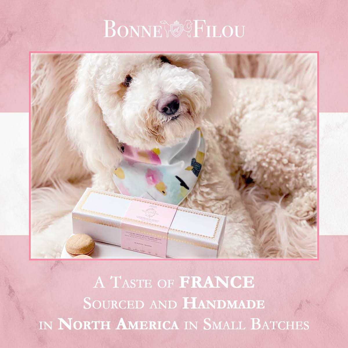 Dog Macarons O98979