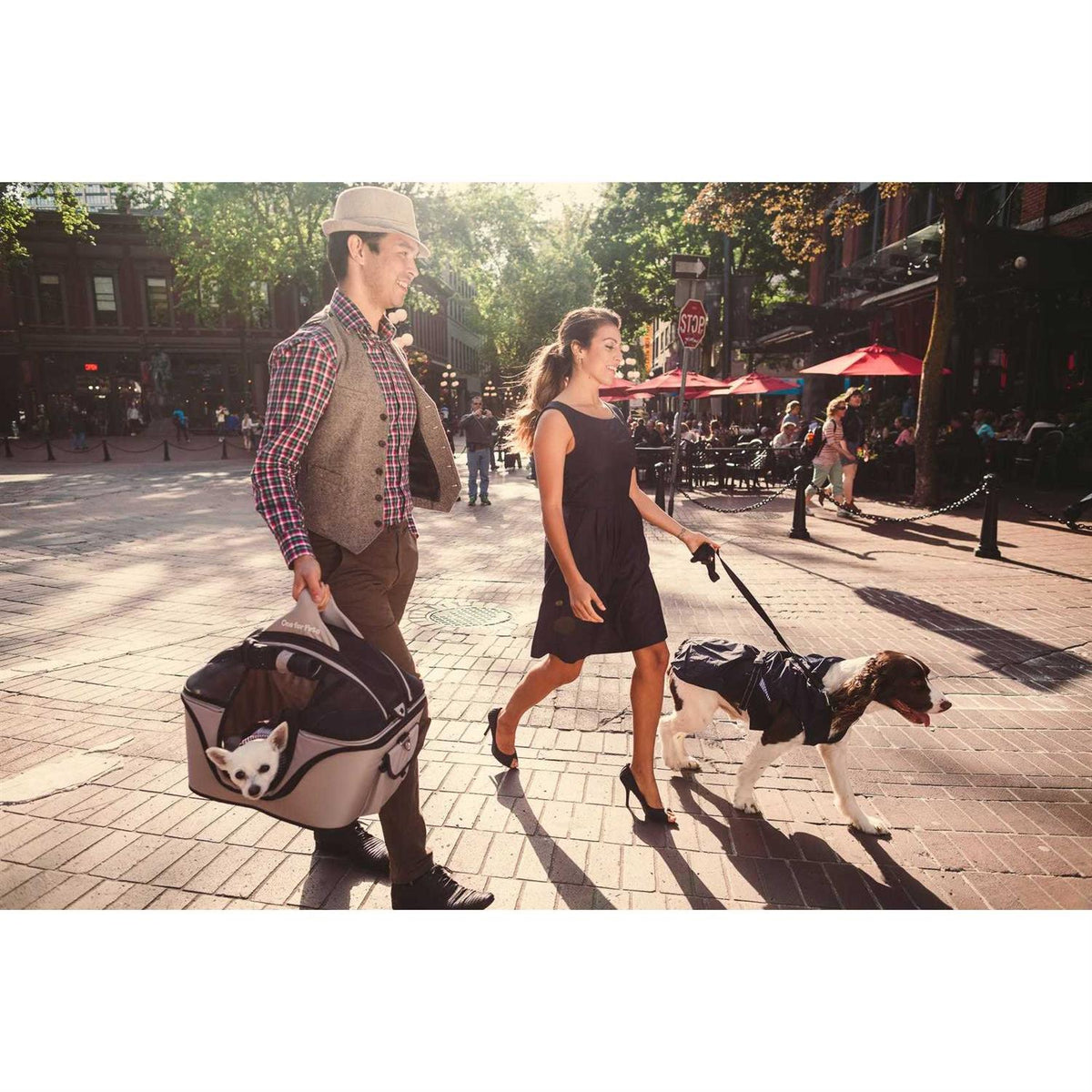 Cozy Pet Carrier A232