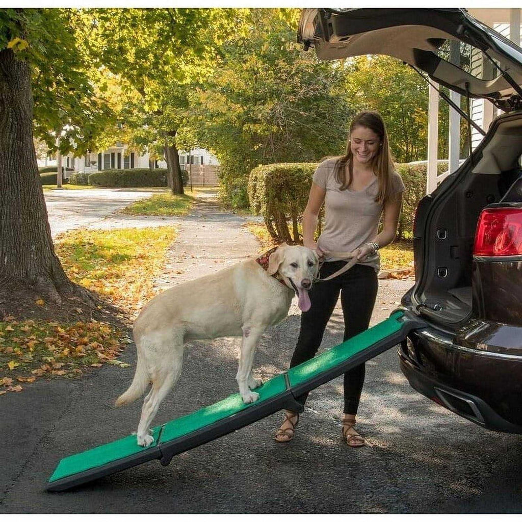 Bi-Fold Pet Ramp H1050