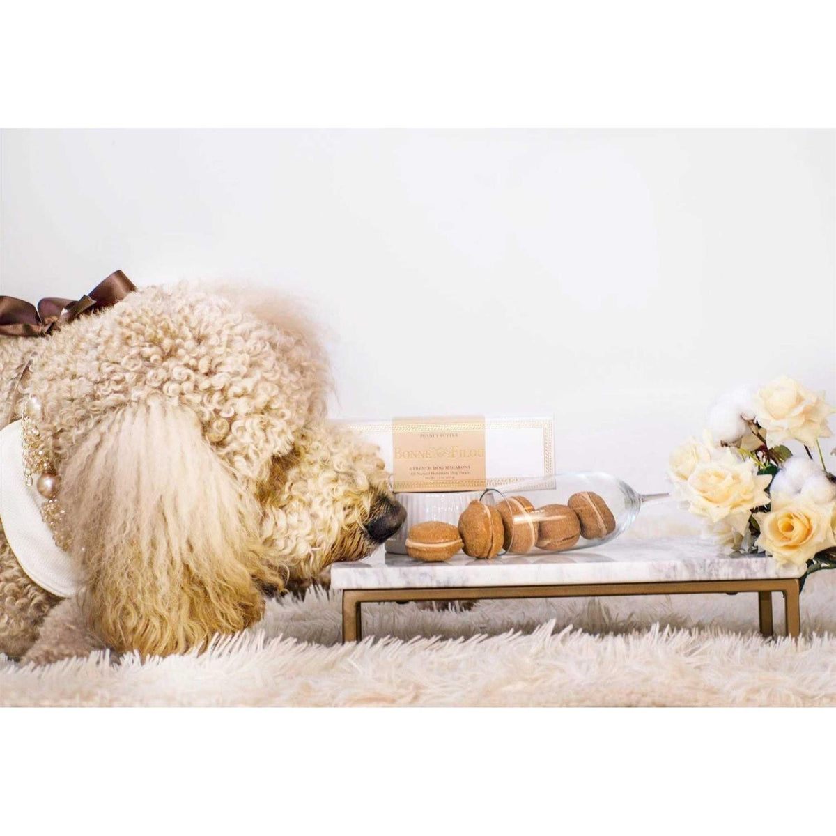 Dog Macarons O98979