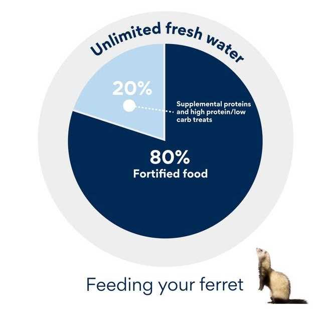Ferret Formula Pet Supplies Y350345