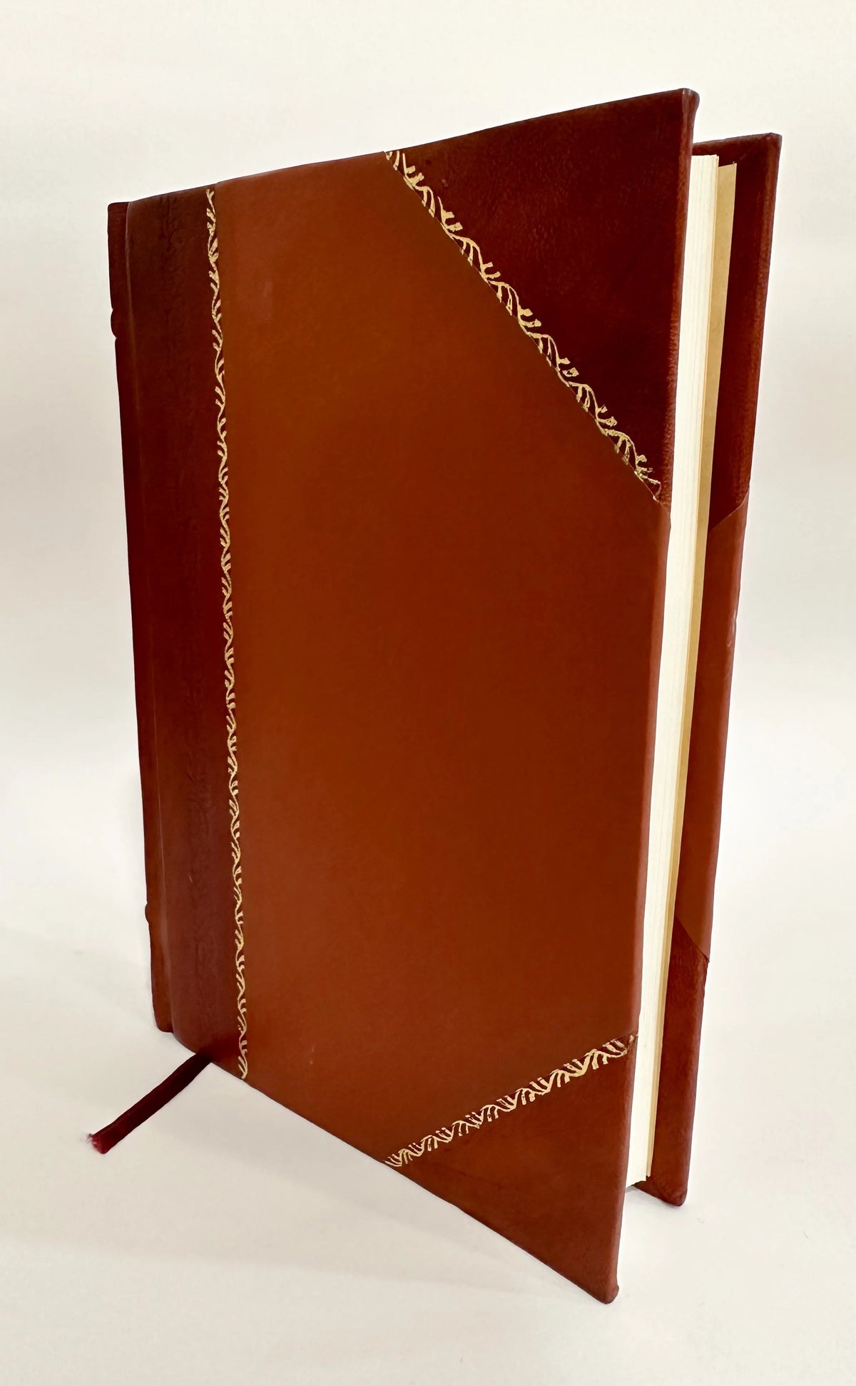 Leather Bound E313