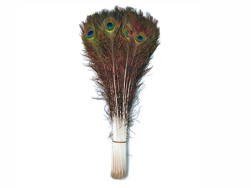 100 Pieces 40-45" Natural Peacock Tail Eye Feathers V26320