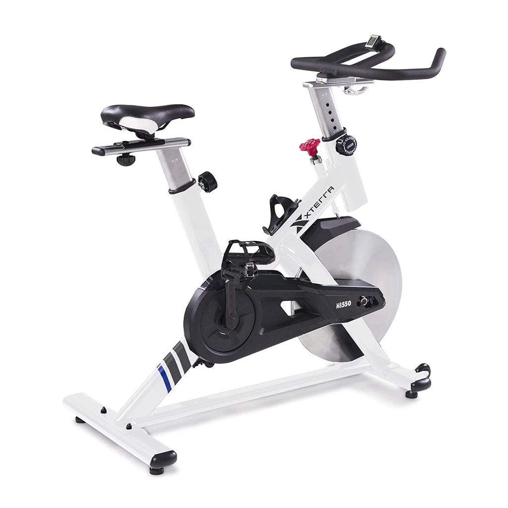 Indoor Cycling Exercise Bike with 48.5 lb Flywheel R1350